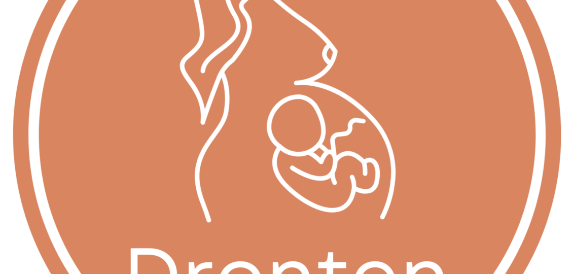 Logo Dronten