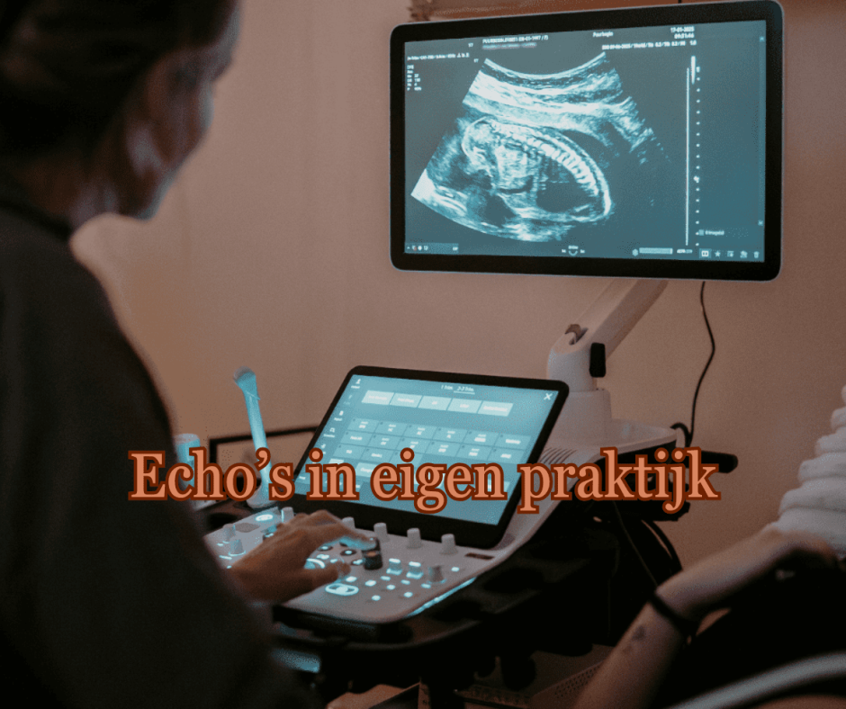 Echos-in-eigen-praktijk-4.png